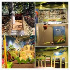 Science, technology, engineering, art, and mathematics. Explore Cook Museum Of Natural Science In Decatur
