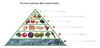 paleo food pyramid paleo recipes easy diet recipes paleo