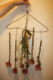 Place my flowers in a container with silica gel, seal it, and put the whole thing in a deep freezer you can press just one end down firmly. Diy Dried Roses