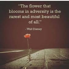 Do i say mulan says it or the walt disney company? Inspiration By John On Twitter The Flower That Blooms In Adversity Is The Rarest And Most Beautiful Of All Walt Disney Quote