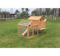 Sustainable Wooden Chicken Coops with Double Painting