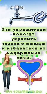 как лечить недержание мочи у мужчин в домашних условиях Eti Uprazhneniya Pomogut Ukrepit Tazovye Myshcy I Izbavitsya Ot Nederzhaniya Mochi Body Health Health Fitness Daily Workout