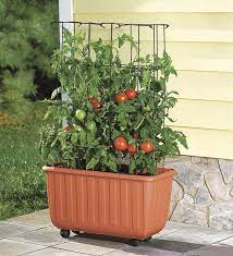 Rolling Self Watering Tomato Planter With Tower Testing Tomato Planter Self Watering Planter Watering Tomatoes