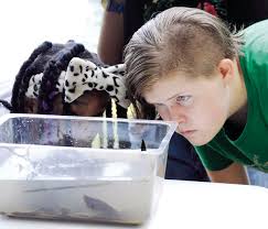 Campers learn ecology at Hickory Hill
