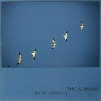 The nato phonetic alphabet is a spelling alphabet, a set of words used instead of letters in oral communication (i.e. Pogus Nate Wooley The Almond Reviews