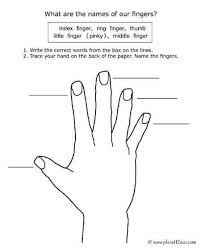 Names Of Fingers Kids Worksheets Printables Free Printable Worksheets Free Worksheets For Kids