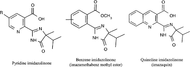Now serving the following areas: Imidazolinone Tolerant Crops History Current Status And Future Tan 2005 Pest Management Science Wiley Online Library