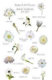 Types of white flowers bright flowers fall flowers white roses flowers name list flower names wedding flower guide wedding flowers find information on more than 45 types of white flowers, including beautiful pictures, descriptions and information about the best way to plant them. White Flowers For Fall Weddings Snippet Ink Glossary Snippet Ink Have You Ever Seen A Beaut October Wedding Flowers Fall Wedding Flowers White Flowers