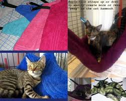 Pin By Craftersexchange On Pets Diy Cat Hammock Pattern Cat Hammock Cat Hammock Crochet