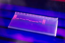Uz liraglutid je tmax bio odgođen za 1,5 h za oba spoja. Neue Studie Mody 3 Und Liraglutid Dna Diagnostik Hamburg Gemeinschaftspraxis Fur Humangenetik Und Genetische Labore