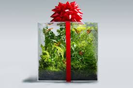 Top 5 Earth Day presents for Mother Nature—environment—green—Commentary