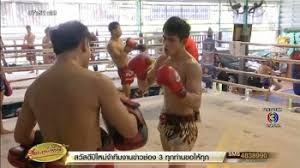 เมืองไทย พี.เค.แสนชัยมวยไทยยิม เป็นนักมวยไทย ชาวไทย เจ้าของฉายา ขุนศอกผีดิบ และ ขุนศอกถล่มโลกันต์ ผู้มาจากอำเภอหนองกี่ ภาคตะวันออกเฉียง. à¸Š à¸Šà¸Š à¸¢ à¸ž à¹€à¸„ à¹à¸ªà¸™à¸Š à¸¢à¸¡à¸§à¸¢à¹„à¸—à¸¢à¸¢ à¸¡