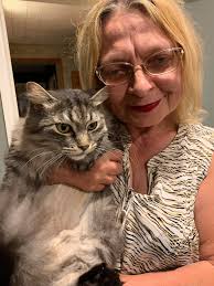 Lost Grey Cat Mossy Found in Hamilton Ontario