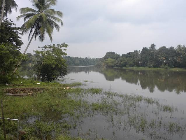 Chengannur | walkforpamba