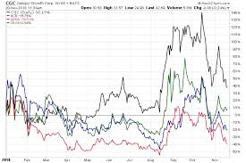 Cgc Stock Forecast Heres Why Long Term Investors Shouldnt