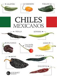 Pin En Comida Mexicana Gourmet