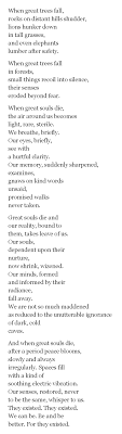  Maya Angelou When Great Trees Fall Maya Angelou Quotes Poetry Words Inspirational Words