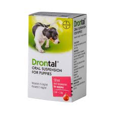 It's also a good idea to ask for a vet's advice as different ingredients in what should be considered is to ensure the medication will take effect as it should be, accompanied by the right intake of dosage. Puppy Wormer Online Shopping