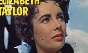 Famous Female Novelists