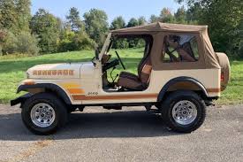 Image result for Beige Antelope 1983 Fleet