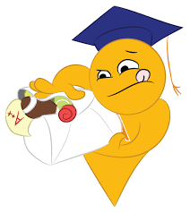 Getting started with cover letter examples. 4 Must Have S In A Cover Letter To A College Coach
