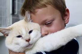 PAWS from the Heart Brady Tx