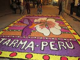 Check spelling or type a new query. 42 Flower Carpets Ideas Real Flowers Around The Worlds Petals