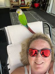 Lost Greencheek Conure in Bridgeport Commons