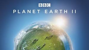 Watch Planet Earth II | HBO Max