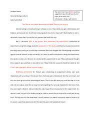 As opposed to a working paper or a resolution, which are written during the conference and reflect the work and thoughts of several member states and observers working together, a position paper is written prior to a. Sample Position Paper Pdf Course Hero