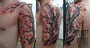 Cherry Blossom Arm Tattoo By Diegomontrazio On Deviantart Tree Tattoo Men Blossom Tree Tattoo Tree Tattoo Chest