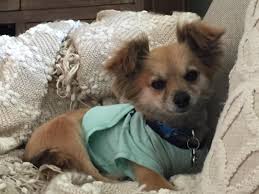 From Triton to the Mighty Titan