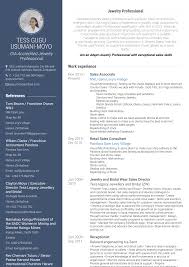 Example of a curriculum vitae in zambia homework done you may find professional writing companies such example of a curriculum vitae in zambia as quite helpful. Executive Sales Manager Cv July 2021