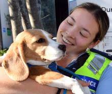 Successful surfing safari for Queen's teacher and pupils