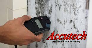 Maybe you would like to learn more about one of these? Mold Remediation In Bradenton Fl
