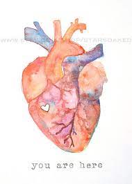 Anatomy Of Love Human Heart Watercolor Print Anatomical Heart Art Anatomy Art Heart Artwork