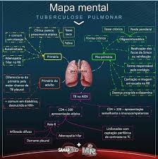 pin de jessica mello en clases anatomia y fisiologia humana imagenes de medicos fisiologia