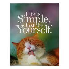 Inspirational Quotes About Cats Cat Quotes Posters Cat Quotes Prints Art Prints Poster Inspirational Quotes Posters Quote Posters Poster Prints
