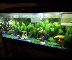 Aquarium resin castle decoration, castle hideouts stone cave hide house fish tank aquarium accessories for betta. Just 26 Fintastic Things From Amazon To Buy Your Fish