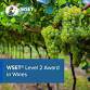 WSET Level 2 Award in Wines (including exam)  event image