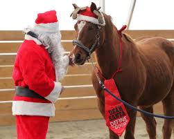 Check spelling or type a new query. Slideshow Costume Tryouts For Horses Gloucestertimes Com