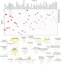 Plos One Molecular Mechanisms Involved In Drug Induced Liver Injury Caused By Urate Lowering Chinese Herbs A Network Pharmacology Study And Biology Experiments