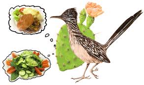 Check spelling or type a new query. Roadrunner Cafe New Mexico