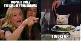 Pin By Lucia Arrru On Cat Meme S Funny Pictures Internet Funny Cat Memes