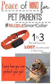 Peace Of Mind With The Nuzzle Collar And App System Pet Tracker Dog Tracker Pet Gps