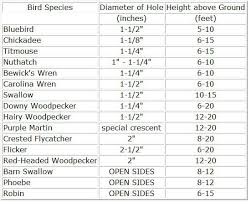 Birdhouse Hole Size Chart Image Result For Birdhouse Hole Sizes Uk Bird Houses Cardinal Bird House Decorative Bird Houses