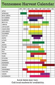 tennessee harvest chart for the delicious fruits and veggies