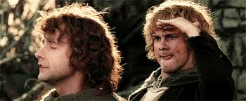 Merry and Pippin. I just love Merry's face in this gif