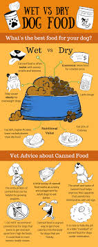 What is the best puppy food for staffies? Wet Vs Dry Dog Food Find The Best Dog Food For Your Pup Click Here For More Vet Advice About Canned And D Best Dry Dog Food Dog Food Recipes Wet