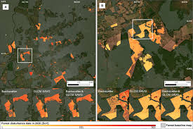 How textural features can improve SAR-based tropical forest disturbance  mapping